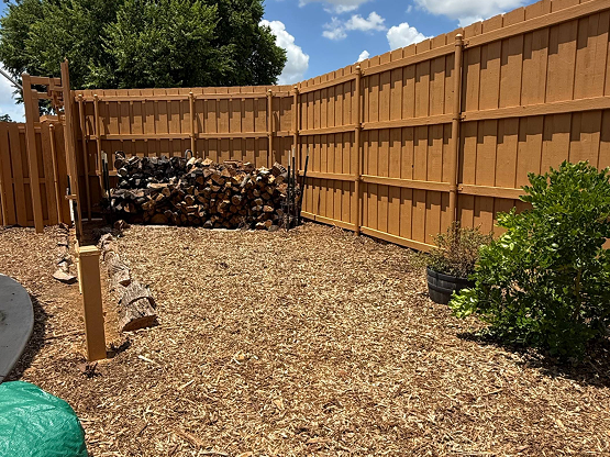 After Log Fence -